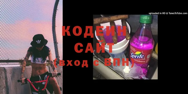 Кодеин Purple Drank  цены наркотик  shop официальный сайт  Кизилюрт 