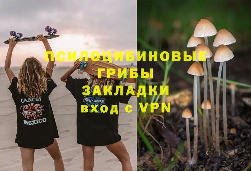 KRAKEN ТОР  Кизилюрт  Галлюциногенные грибы Psilocybine cubensis 